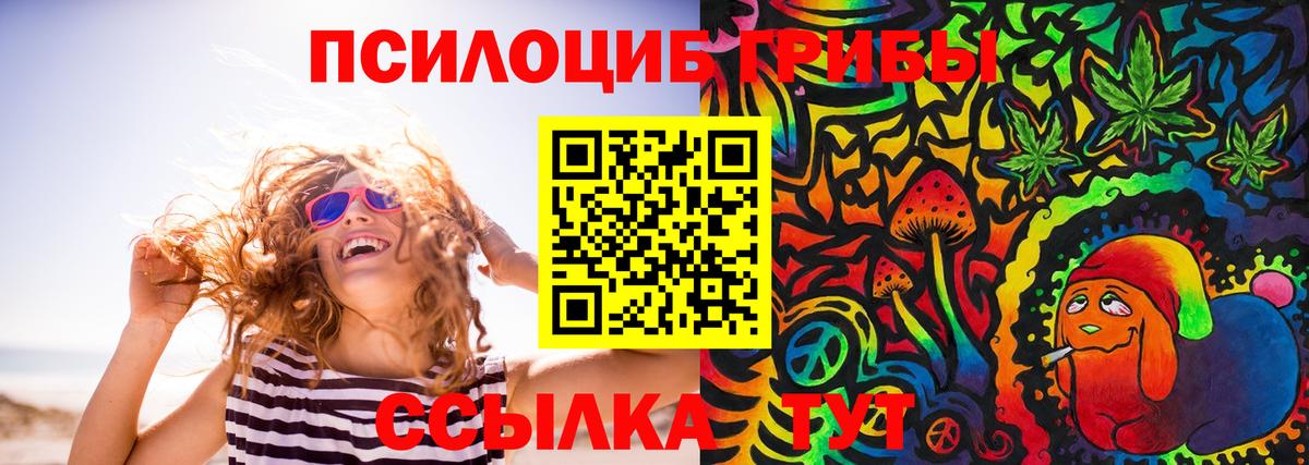 Галлюциногенные грибы Psilocybe Королёв
